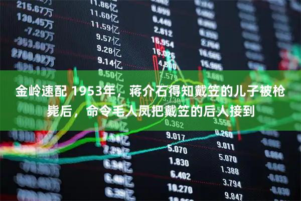 金岭速配 1953年，蒋介石得知戴笠的儿子被枪毙后，命令毛人凤把戴笠的后人接到