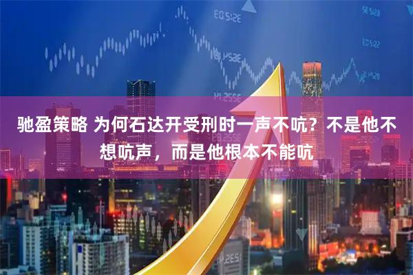 驰盈策略 为何石达开受刑时一声不吭？不是他不想吭声，而是他根本不能吭