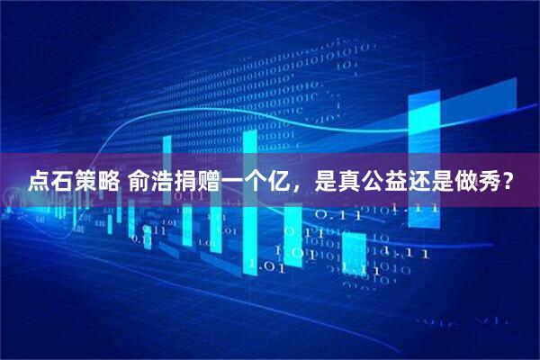 点石策略 俞浩捐赠一个亿,是真公益还是做秀?