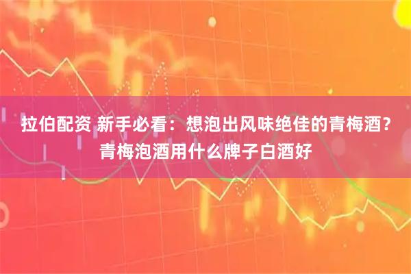 拉伯配资 新手必看：想泡出风味绝佳的青梅酒？青梅泡酒用什么牌子白酒好