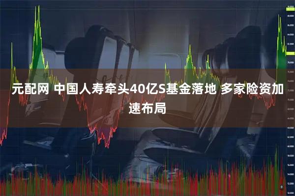 元配网 中国人寿牵头40亿S基金落地 多家险资加速布局