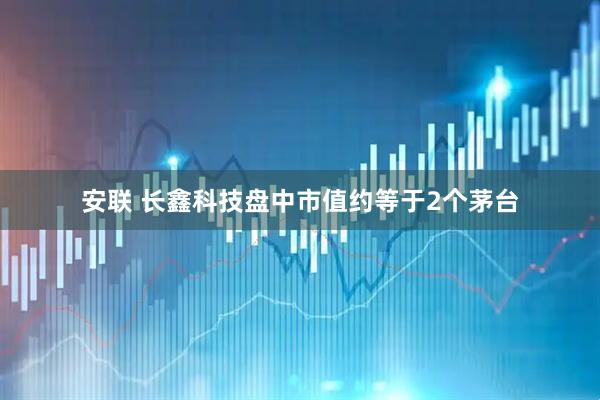 安联 长鑫科技盘中市值约等于2个茅台