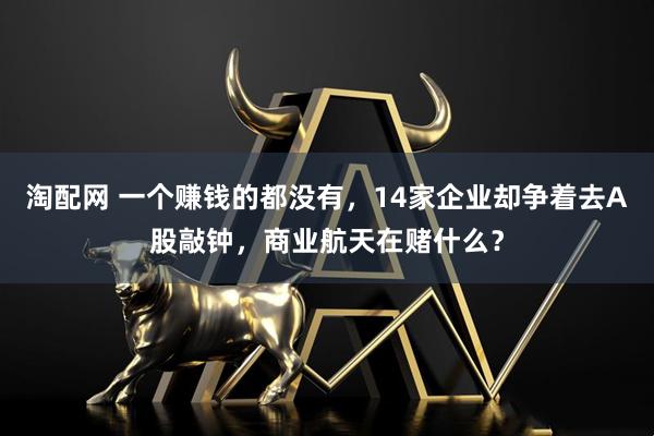 淘配网 一个赚钱的都没有，14家企业却争着去A股敲钟，商业航天在赌什么？