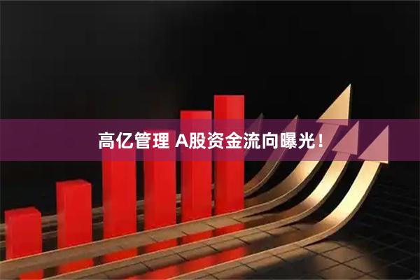 高亿管理 A股资金流向曝光！