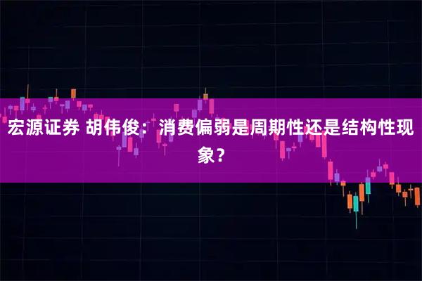 宏源证券 胡伟俊：消费偏弱是周期性还是结构性现象？