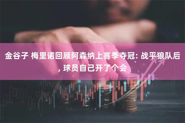 金谷子 梅里诺回顾阿森纳上赛季夺冠: 战平狼队后, 球员自己开了个会